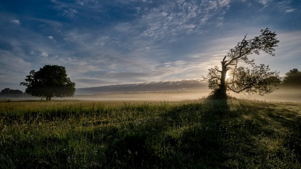 Castletown - early morning mist