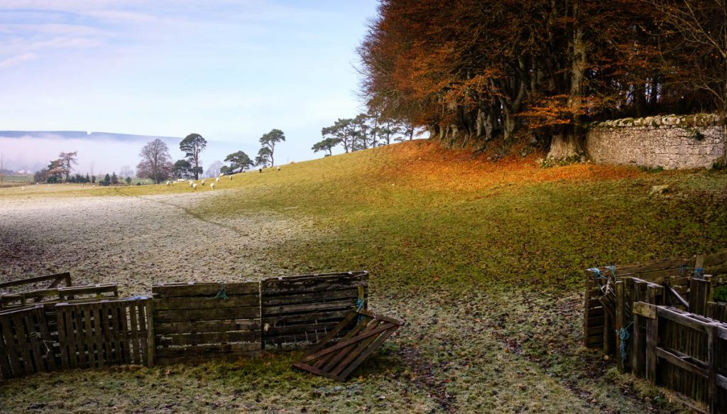 Cloughlea frosty autumn farm scene