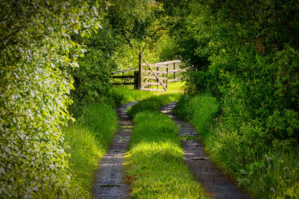 mullingar laneway