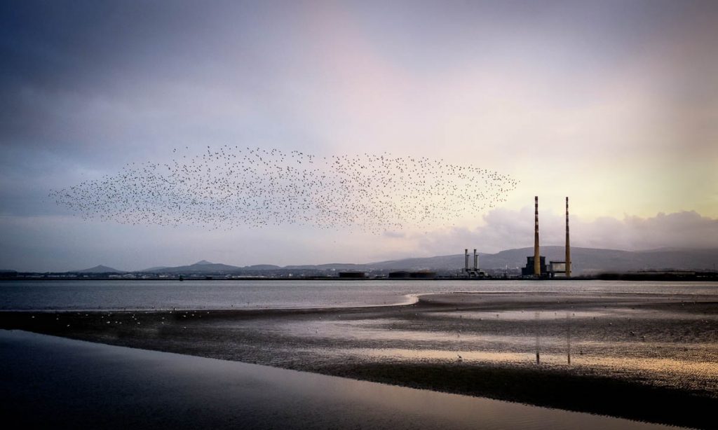 Poolbeg power station, Dublin in the evening